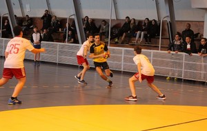 5a64bf6364051_IMG8985Copier.JPG