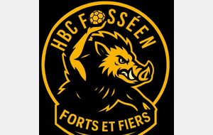 HANDBALL CLUB FOSSEEN